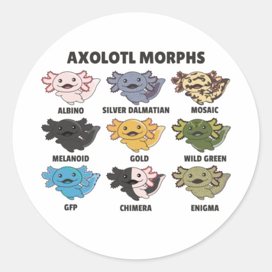 Axolotls van de wereld - zoete dieren ronde sticker (Voorkant)