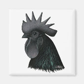 Ayam Cemani Rooster Head Magneet (Voorkant)