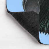 Ayam Cemani Rooster Head Muismat (Hoek)