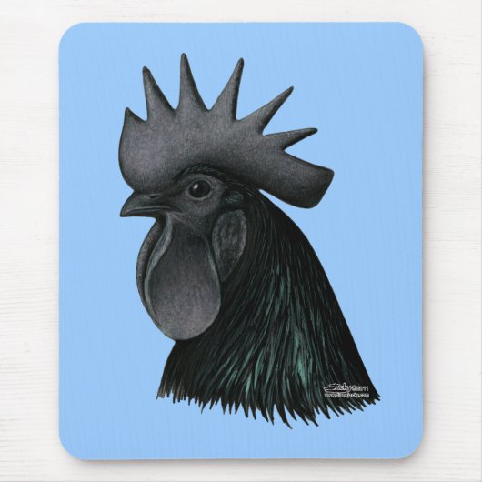 Ayam Cemani Rooster Head Muismat (Voorkant)