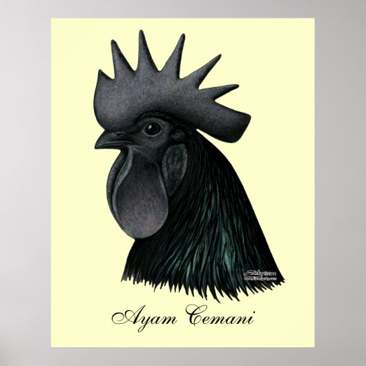 Ayam Cemani Rooster Head Poster (Voorkant)