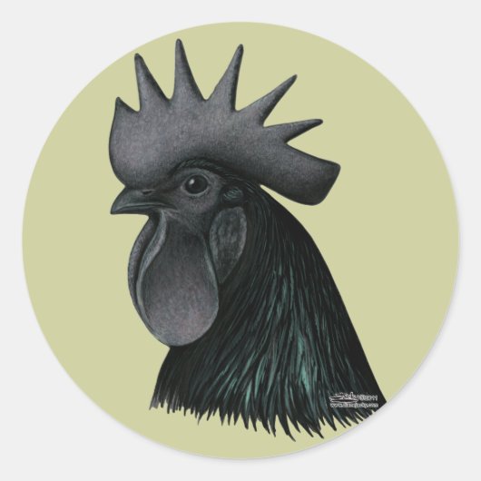 Ayam Cemani Rooster Head Ronde Sticker (Voorkant)