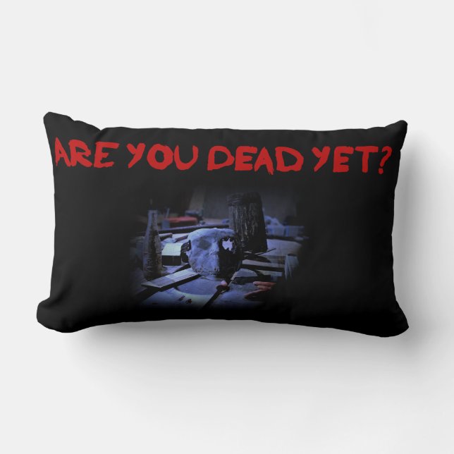 AYDY Lumbaal Kussen (Voorkant)