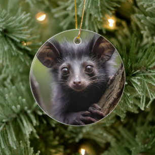 "Aye-aye in een boom" Keramisch Ornament