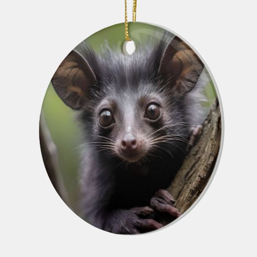 "Aye-aye in een boom" Keramisch Ornament (Links)