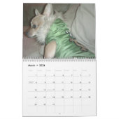 Aye Chihuahua 2011 Kalender (Mar 2026)