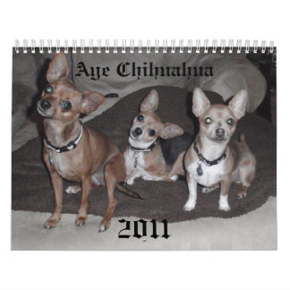 Aye Chihuahua 2011 Kalender
