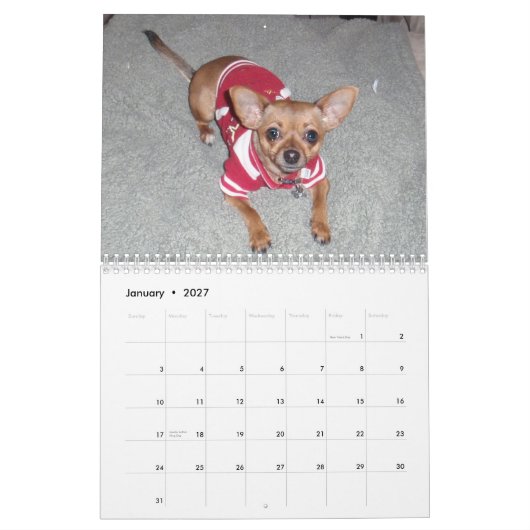 Aye Chihuahua 2011 Kalender (Jan 2027)