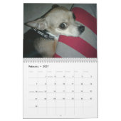 Aye Chihuahua 2011 Kalender (Feb 2027)
