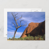 Ayers Rock Uluru in de Outback Australia Briefkaart (Voorkant / Achterkant)