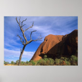 Ayers Rock Uluru in de Outback Australia Poster (Voorkant)