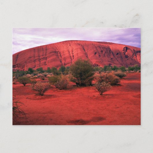 Ayers Rock, Uluru National Park, Australië woestij Briefkaart (Voorkant)