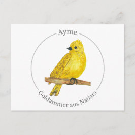 Ayme -  Goldammer aus Natlara Briefkaart