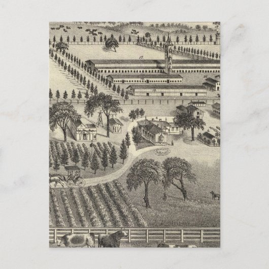 Ayrshire Boerderij Briefkaart (Voorkant)