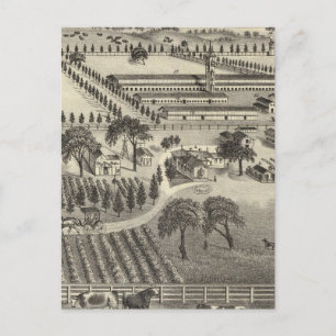 Ayrshire Boerderij Briefkaart