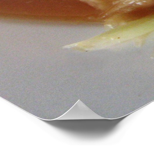 Ayutthaya Spicy Papaya Salad [Som Tam] met Cashew Poster (Hoek)