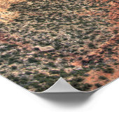 AZ, Arizona, Grand Canyon National Park, South 2 Poster (Hoek)