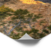 AZ, Arizona, Grand Canyon National Park, South 2 Poster (Hoek)