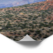 AZ, Arizona, Grand Canyon National Park, South 6 Poster (Hoek)