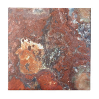 AZ Petrified Wood Tegeltje