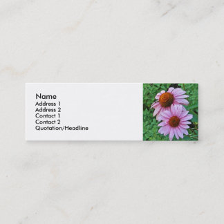 AZ- Roze Visitekaartjes van Florenz