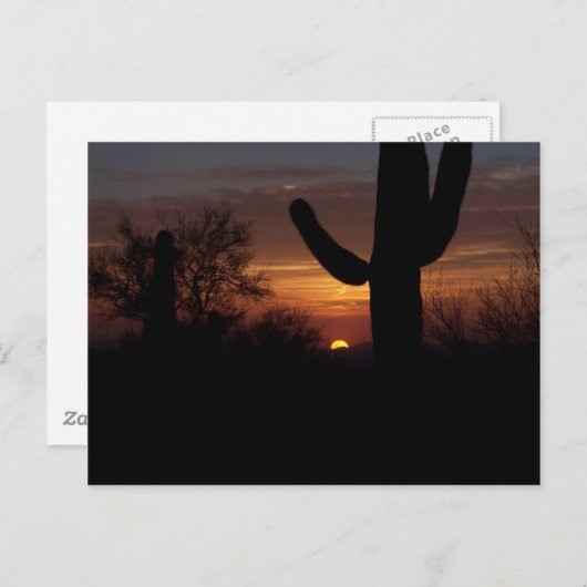 AZ sunset 1 Briefkaart (Voorkant / Achterkant)