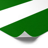 Azad Kashmir state flag symbol Pakistan Poster (Hoek)