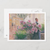 Azalea, 1906 (m/v papier) briefkaart (Voorkant / Achterkant)