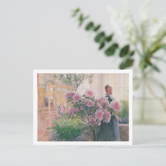 Azalea, 1906 (m/v papier) briefkaart (Staand voorkant)