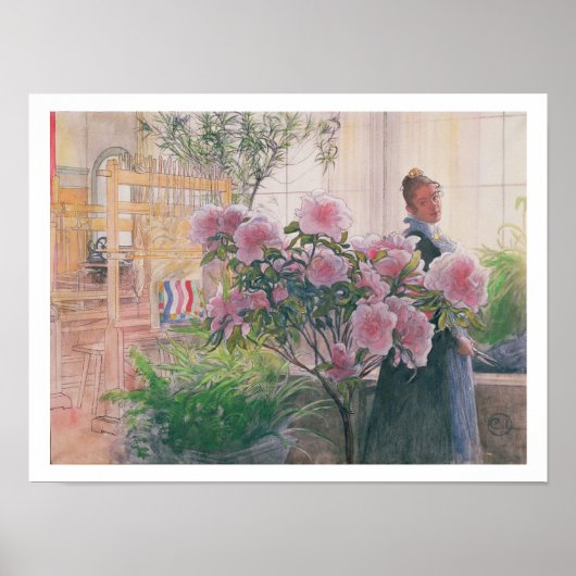 Azalea, 1906 (m/v papier) poster (Voorkant)