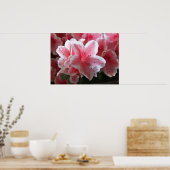 Azalea #3 poster (Keuken)