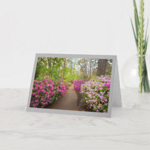 Azalea 4 Kronkelend tuinpad & roze azalea's Kaart