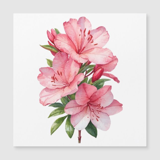 Azalea bloem aquarel schilderij (Voorkant)