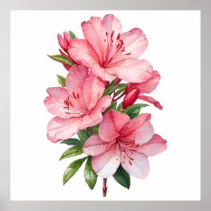 Azalea bloem aquarel schilderij poster
