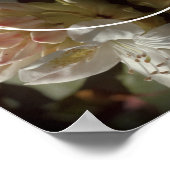 Azalea Bloesem Tint Maak Je Eigen Foto Poster (Hoek)