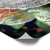 Azalea Bloesems Maak Je Eigen Foto Poster (Hoek)