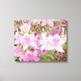 Azalea Bloom Close-Up Photography Canvas Afdruk