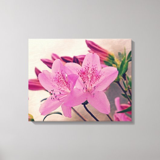 Azalea Blooms Canvas Afdruk (Voorkant)