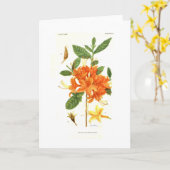 Azalea calendulacea beroemd gemaakt door Mary E. E Kaart (Gele Bloem)