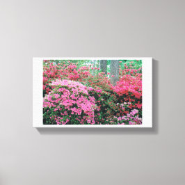 Azalea Canvas Afdruk