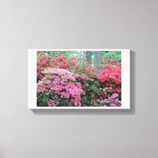 Azalea Canvas Afdruk (Voorkant)