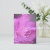 Azalea Close-up Briefkaart (Staand voorkant)