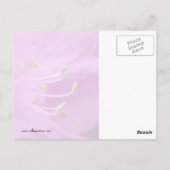 Azalea Close-up Briefkaart (Achterkant)