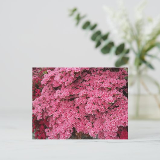 Azalea Cluster Briefkaart (Staand voorkant)