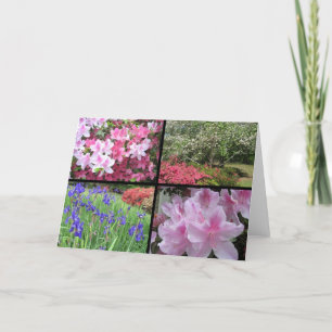 azalea dogwood iis collage note card kaart