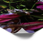 azalea en wisteria poster (Hoek)