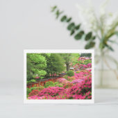 Azalea Festival: Nezu Shrine, Japan Briefkaart (Staand voorkant)