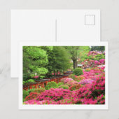 Azalea Festival: Nezu Shrine, Japan Briefkaart (Voorkant / Achterkant)