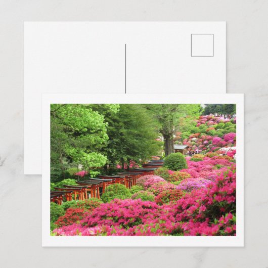 Azalea Festival: Nezu Shrine, Japan Briefkaart (Voorkant / Achterkant)