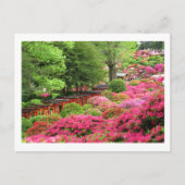 Azalea Festival: Nezu Shrine, Japan Briefkaart (Voorkant)